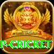 2022 world cup cricket Apps (Tools & Injectors) Pro v5.3.1