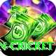 afghanistan cricket Deluxe v1.4.2