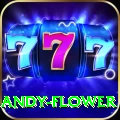 andy flower Deluxe Pro v3.8.2
