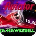 antigua hawksbill Deluxe v4.8.3