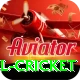 bbl cricket VIP v1.3.4