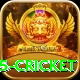 bet365 cricket Plus Edition v1.7.5
