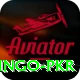 Bingo PKR Plus Pro v2.8.2