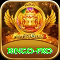 bingo Premium Slots