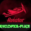 bingopkr Premium Edition v4.7.8