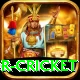 century predictor cricket Premium Edition v4.1.0