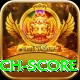 cricket match score VIP Edition v4.9.8