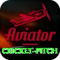 cricket pitch VIP v2.5.0