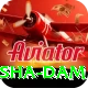 diamer bhasha dam Elite v5.7.5