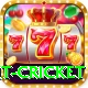 early payout cricket Elite v3.6.9