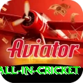 fastest ball in cricket Ultimate v2.6.9