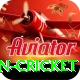 fastest ball in cricket Ultimate v2.6.9