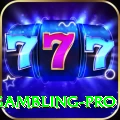 gambling Casino Master v4.1.0
