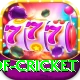 god of cricket Gold Edition v2.3.4