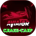 grass carp Games (Casino & Earning) Elite v3.2.1