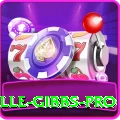 herschelle gibbs APK Champion v4.5.7