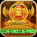 holloween tiger Turbo - Win Real PKR