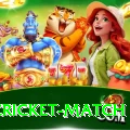 india cricket match Gold v2.1.0