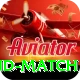 india new zealand match Turbo Pro v4.8.6