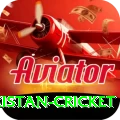 india pakistan cricket Turbo v3.0.3