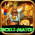 india pakistan cricket match Plus Edition v1.4.7