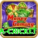 india sri lanka cricket VIP v2.2.2