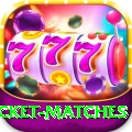 india upcoming cricket matches Turbo v3.0.9