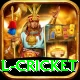 international cricket VIP Edition v3.8.7