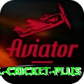 international cricket Slot Machine Master