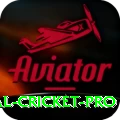 international cricket Slots Supreme v2.5.5