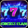 ireland cricket team Premium Plus v4.1.8