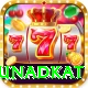 jaydev unadkat VIP Edition v2.9.2