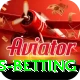 match highlights betting Plus Edition v5.5.6