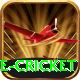 mobile cricket VIP v4.7.5