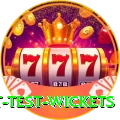 most test wickets Deluxe Edition v1.6.1