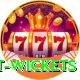 most test wickets Deluxe Edition v1.6.1
