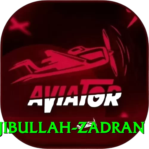 najibullah zadran Games (Casino & Earning) VIP v4.2.3 - 2