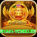 naseem shah yorkers Apps (Tools & Injectors) Plus v3.2.0