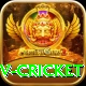 ndtv cricket Elite v5.8.8