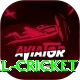 nepal cricket VIP Edition v2.7.3