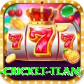 new zealand cricket team Ultimate v4.1.9