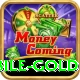 Nine Casino PK Mobile Gold