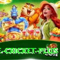 one cricket Casino Official v5.0.1