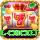 online cricket Apps (Tools & Injectors) Pro v1.2.2