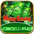 online cricket Turbo Gaming App