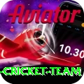 pakistan women cricket team Plus Edition v4.5.2