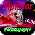 pakrummy Apps (Tools & Injectors) Elite v3.6.0