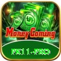 pk11 Pakistan Mega v2.1.6