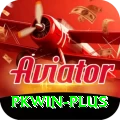 pkwin Ultimate v5.0.3