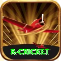 r cricket Master v5.4.8